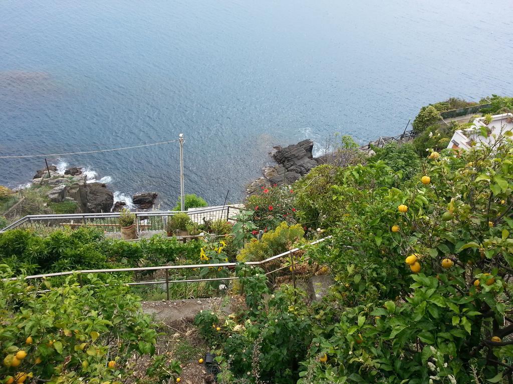 Affittacamere La Branda La Spezia Exteriör bild